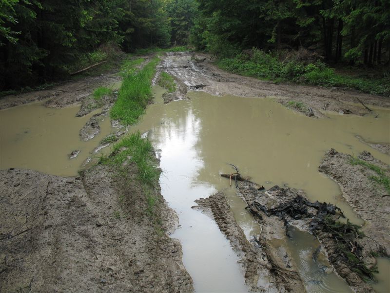 przylenkow (199)